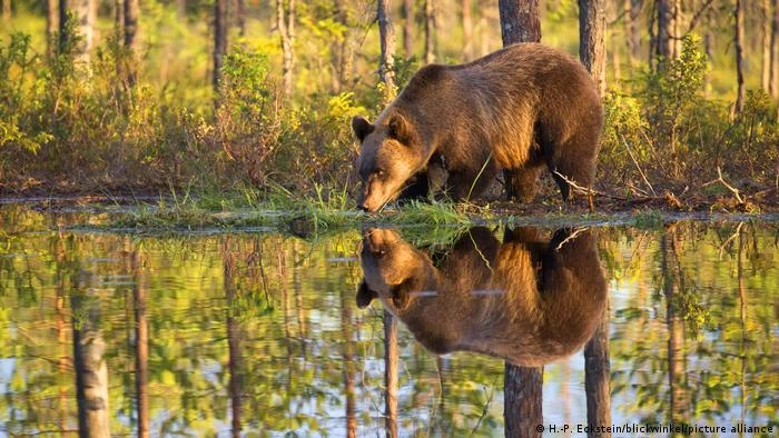 Công viên nằm ở vùng đông bắc Phần Lan, nổi tiếng với các khu rừng rậm cùng với rất nhiều hồ nước trong như pha lê, rất lý tưởng đối với những du khách có sở thích đi bộ đường dài. Nếu may mắn, du khách có cơ hội bắt gặp nhiều loại động vật hoang dã, như loài gấu nâu.