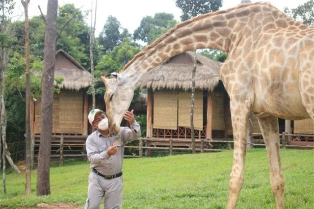 Khám phá cuộc sống hoang dã “thời giãn cách” bên trong công viên bảo tồn lớn bậc nhất châu Á - Ảnh 7.