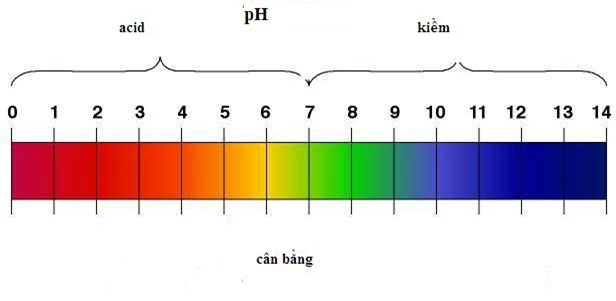 Nguyên nhân gây mệt mỏi kéo dài