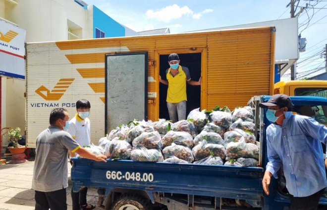 Lần đầu nông dân bán hàng trăm tấn nông sản trên sàn thương mại điện tử