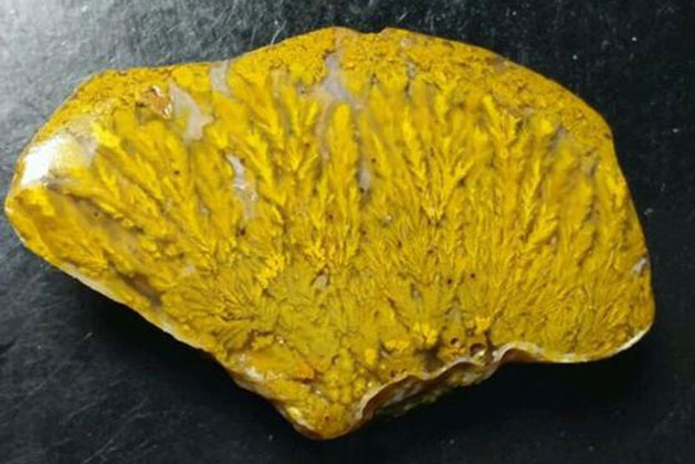 Tìm thấy viên đá phủ đầy rong rêu kỳ lạ của người ông đã qua đời, cô gái đăng lên mạng hỏi: Ai ai cũng trầm trồ, ghen tị