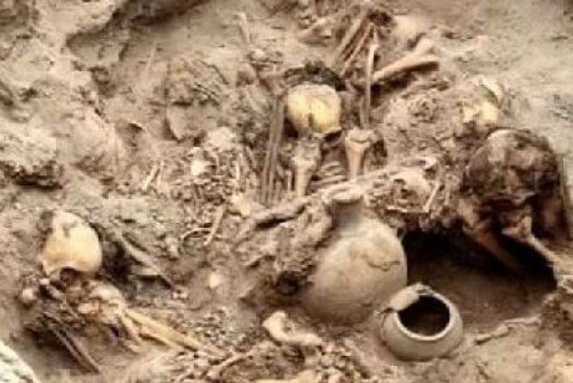 Cải tạo đất trồng, lão nông bất ngờ thấy 1 thứ lộ ra, nhìn kỹ người này không dám đào tiếp