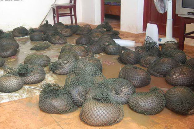 Báo cảnh sát vì nhà hàng xóm có mùi lạ, cảnh tượng sau khi mở cửa ra khiến tất cả kinh ngạc, không dám tin vào mắt mình