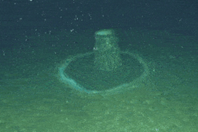 Đang thăm dò đáy biển sâu 1.000m, bỗng màn hình radar 'nhiễu loạn': Cảnh tượng bên dưới khiến nhà thám hiểm 'chết lặng'!