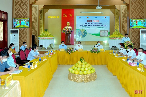 Bưu chính cam kết tiêu thụ bưởi Phúc Trạch trên sàn thương mại điện tử