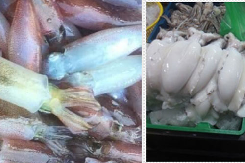 Cách phân biệt mực tươi và mực đã bị ngâm hóa chất