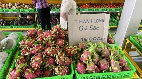 Nông sản miền Tây rớt giá thê thảm 