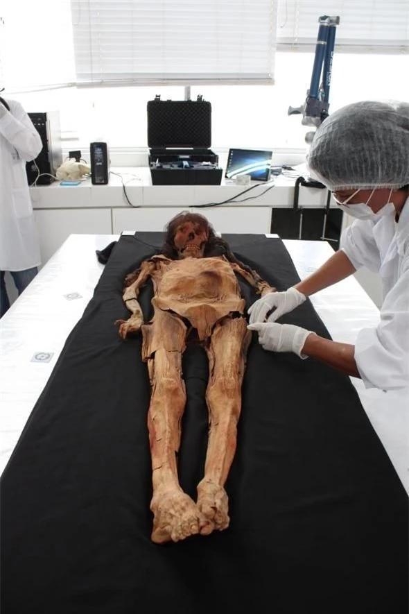 Tái hiện khuôn mặt xác ướp quý bà từ xác ướp ghê rợn như "quái vật", các nhà khoa học ngỡ ngàng nhan sắc người phụ nữ sống cách đây 1.600 năm - Ảnh 1.