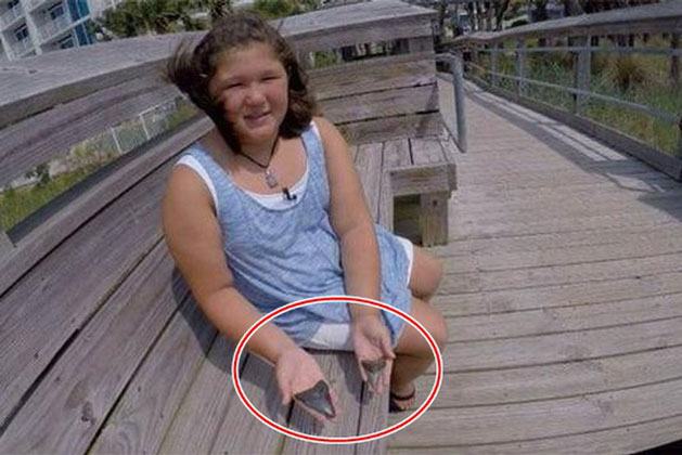 Đi biển 2 lần đều nhặt được viên đá hình tam giác, cô bé khiến các chuyên gia kinh ngạc: Là 'quái vật' số 1 của đại dương!