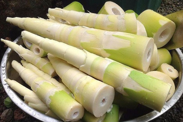 Ngộ độc măng tươi nếu không biết chế biến đúng cách, 4 nhóm người nên hạn chế ăn măng tươi