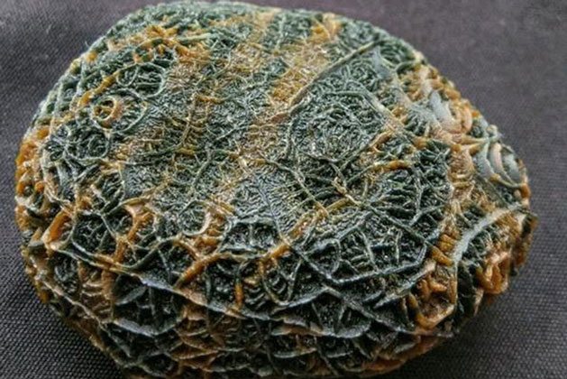 Tình cờ tìm thấy viên đá có hình dáng 'ngoài hành tinh', chàng trai lập tức quay lại nơi nhặt được sau khi nghe chuyên gia thẩm định