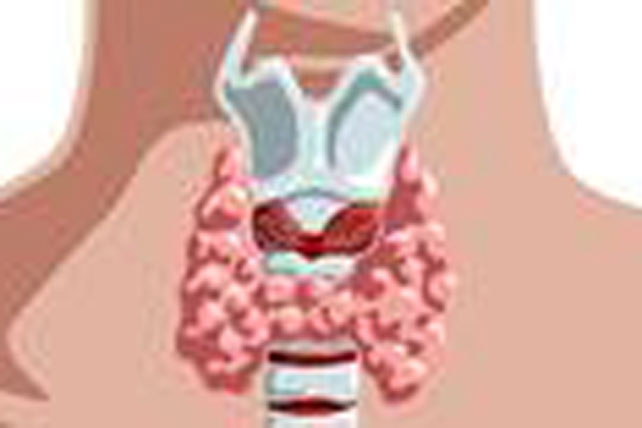 Những dấu hiệu cho biết bạn đã mắc ung thư tuyến giáp