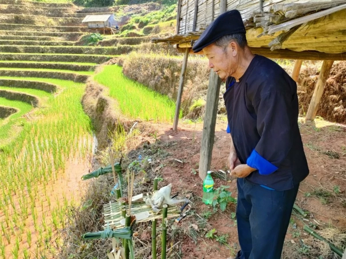 Khi đó, chủ nhà sẽ khấn:“Gà đã chín, xin mời các vị về nhận gà chín, rượu và giấy bạc; mong muốn các vị sau khi nhận sẽ giúp gia đình tôi bảo vệ mùa màng, đuổi côn trùng, chim chóc để có 1 mùa vụ tươi tốt như bao gia đình khác, để gia đình tôi có của ăn, của để, cuộc sống ấm no, hạnh phúc”.