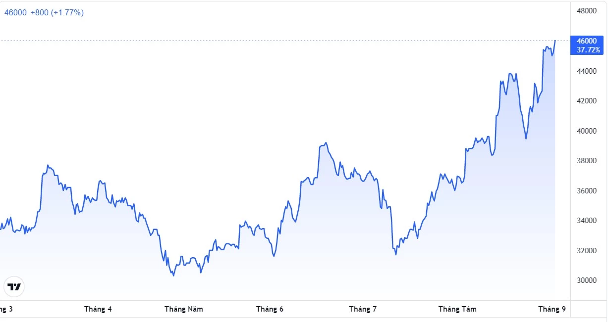 Biến động giá cổ phiếu Sao Ta trong 6 tháng qua (Ảnh: Tradingview).