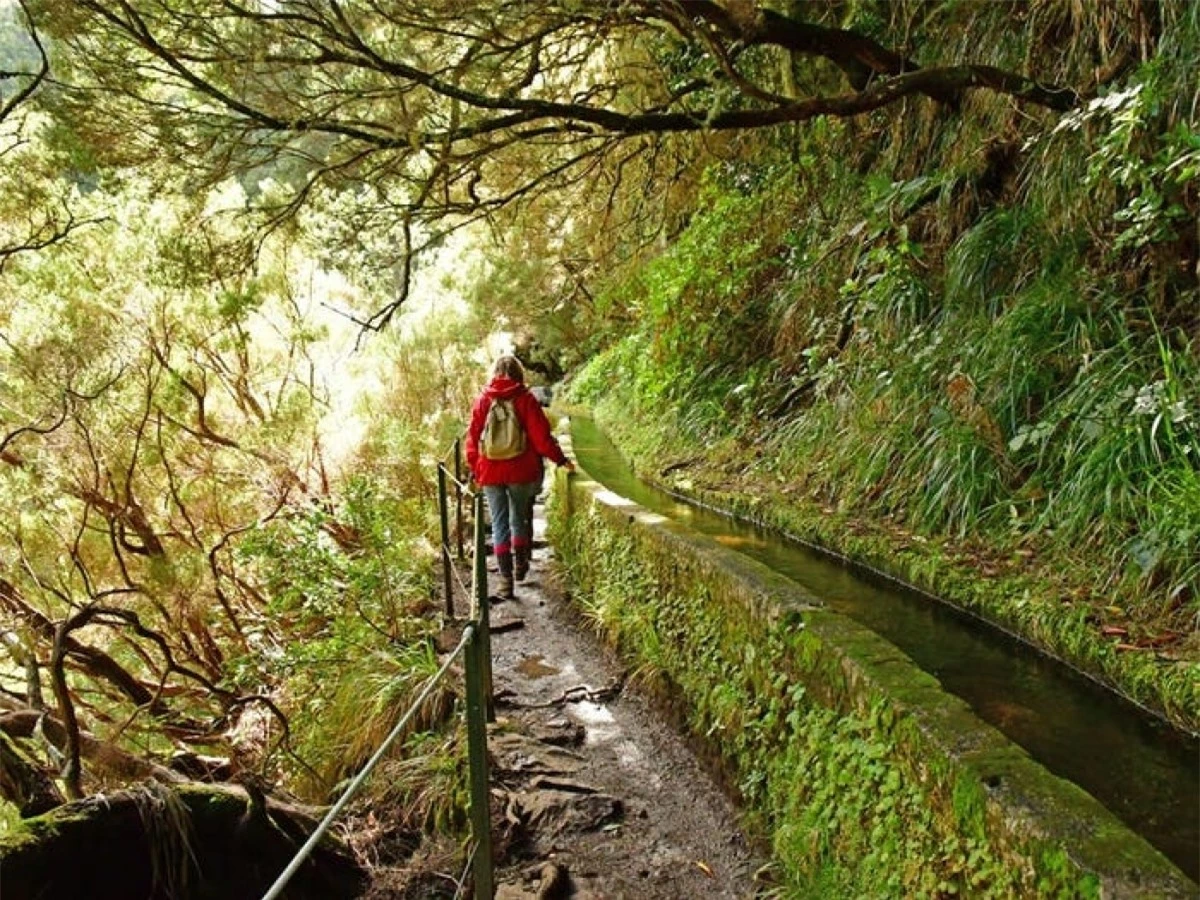 Tại Madeira vẫn còn những kênh thủy lợi bằng đá, luân chuyển nước xuyên qua đảo và cũng tạo ra những cung đường đi bộ tuyệt vời.