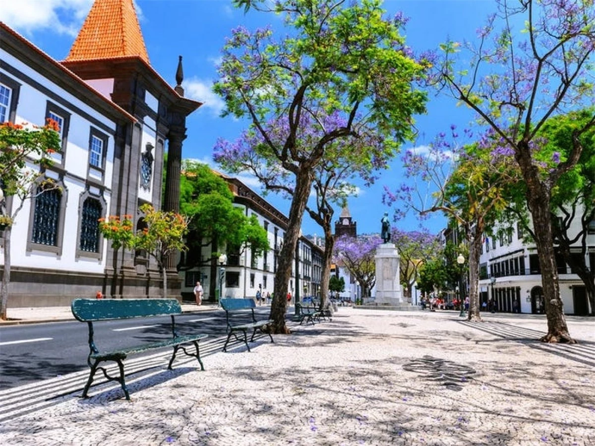 Thành phố lớn nhất của quần đảo Madeira là Funchal, với những nhà thờ cổ, quảng trường và đại lộ rợp bóng cây.