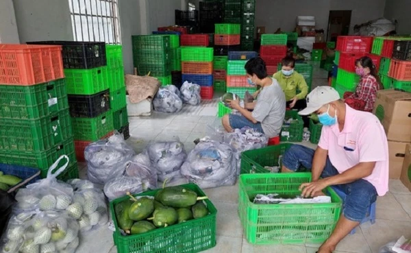 Tổ công tác 970 sẽ bổ sung nhiều gói combo chất lượng hơn đến người dân TP Hồ Chí Minh. 