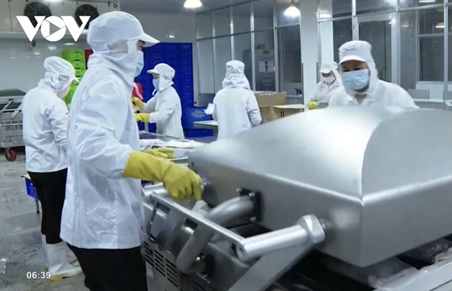 Vướng nhiều thủ tục nhiêu khê, doanh nghiệp khó tiếp cận gói hỗ trợ 26.000 tỷ đồng