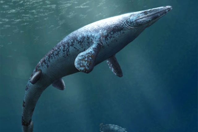 Phát hiện loài quái vật biển khổng lồ khá giống cá sấu