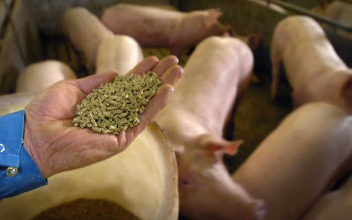 Sản xuất lương thực từ không khí