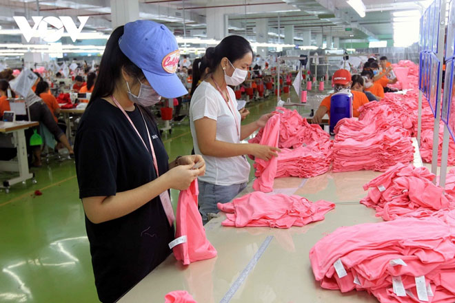 Miễn, giảm thuế: “Vaccine” cứu doanh nghiệp lúc khó khăn do dịch bệnh