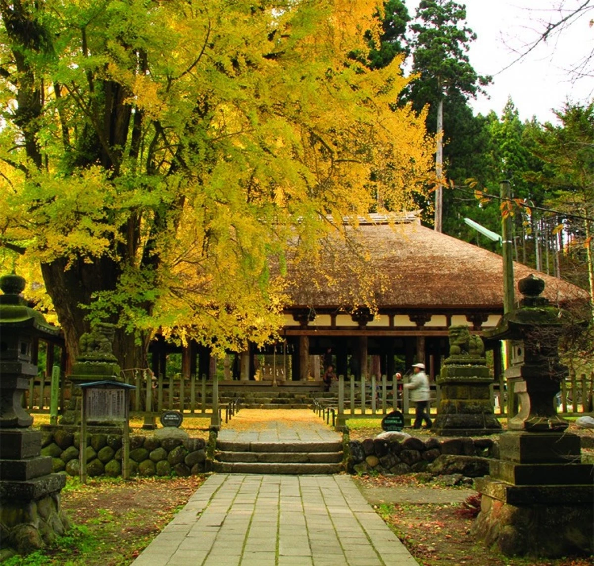 Đền Shingu Kumano được coi là tài sản văn hóa quan trọng của Nhật Bản. Được xây dựng từ thời kỳ Heian, kiến trúc của ngôi đền có những thay đổi theo thời gian. Ngày nay, du khách có thể tham quan những di sản văn hóa của Fukushima và Nhật Bản được lưu giữ tại đây. Ngoài ra, trong khuôn viên ngôi đền còn có một cây bạch quả cổ thụ 800 tuổi, mỗi mùa thu đến, lá cây đổi màu nhuộm vàng cả không gian xung quanh.