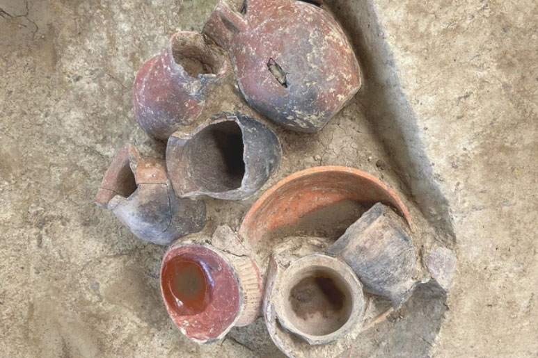 Người Trung Quốc đã biết nấu bia từ cách đây 9.000 năm?