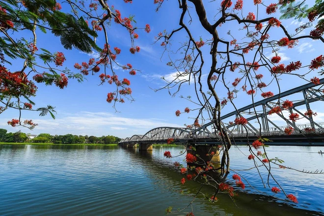 Trong tác phẩm, nhà văn Hoàng Phủ Ngọc Tường đã viết “Nó đã là một bản trường ca của rừng già, rầm rộ giữa bóng cây đại ngàn, mãnh liệt qua những ghềnh thác, cuộc xoáy như cơn lốc vào những đáy vực bí ẩn, có lúc nó trở nên dịu dàng và say đắm giữa những dặm dài chói lọi màu đỏ của hoa đỗ quyên rừng”. Ảnh: Lê Huy Hoàng Hải.