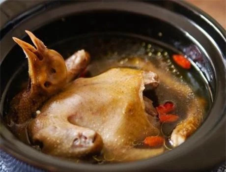 5 điều cấm kỵ khi ăn thịt chim bồ câu, ai biết rồi cần tránh ngay kẻo sinh độc hoặc làm lãng phí dinh dưỡng món ăn - Ảnh 2.