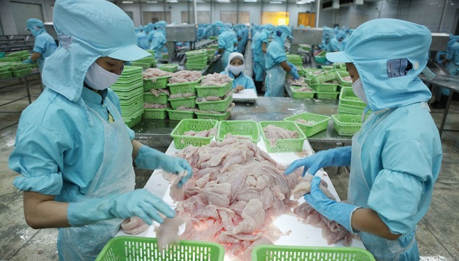 VASEP: Nhiều doanh nghiệp thủy sản kiệt quệ, khó có khả năng phục hồi