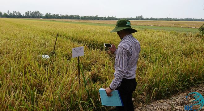 Chuyên gia chỉ ra "chìa khóa" giúp nông sản Việt mở đường vào thị trường Anh