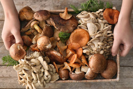 Ba loại thực phẩm nhiều độc tố phổ biến trong gia đình Việt, cẩn thận khi chế biến tránh ngộ độc