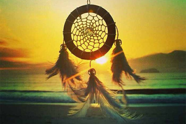 Không phải cỏ 3 lá, đây mới là biểu tượng may mắn thú vị nhất trên thế giới