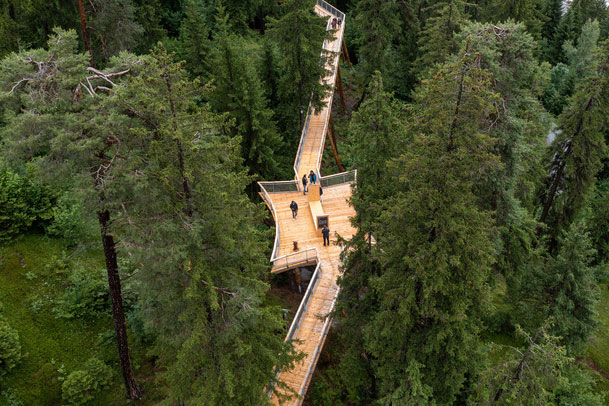 Khám phá con đường “trên cây” dài nhất thế giới tại Thụy Sĩ