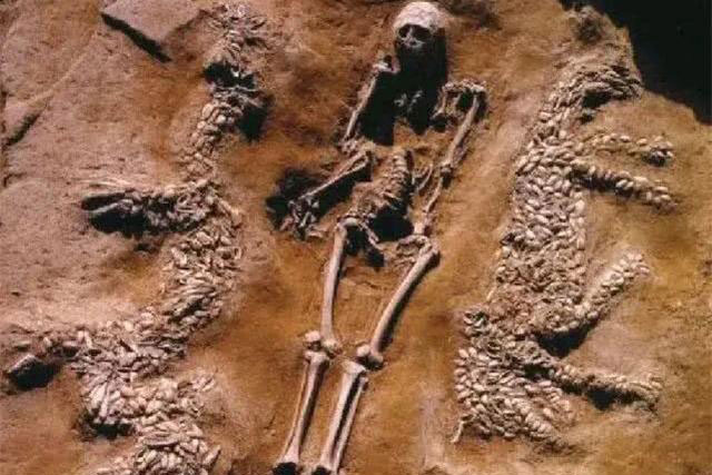 Ngôi mộ được "rồng và hổ" canh giữ suốt ngàn năm, chuyên gia kinh ngạc: Chủ mộ không hề tầm thường!