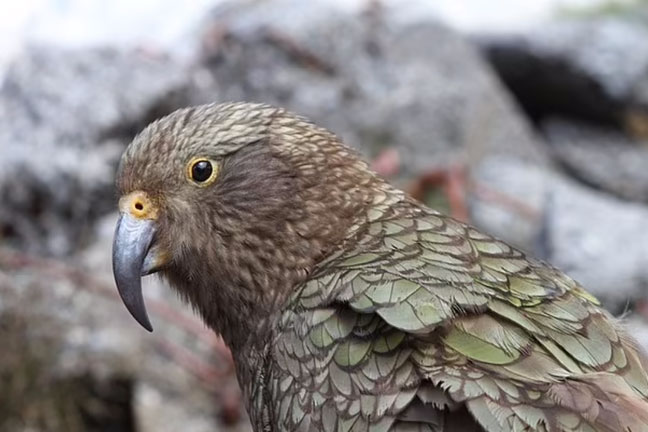 Phát hiện nơi "thời gian quay nhanh" của Trái Đất