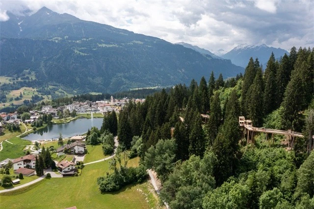 Khám phá con đường “trên cây” dài nhất thế giới tại Thụy Sĩ - Ảnh 1.