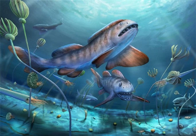 Tái sinh quái ngư răng cánh hoa 290 triệu tuổi, tổ tiên bóng ma đại dương - Ảnh 1.