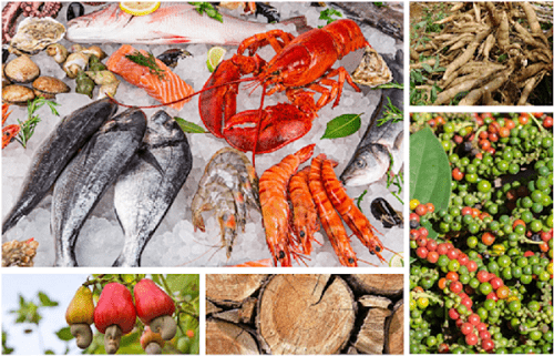 Kim ngạch xuất nhập khẩu nông lâm, thủy sản đạt 32,1 tỷ USD, tăng 21,6% 