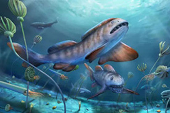 "Tái sinh" quái ngư răng cánh hoa 290 triệu tuổi, tổ tiên "bóng ma đại dương"