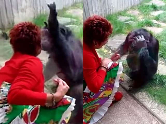 Thừa nhận có tình cảm yêu đương với một chú tinh tinh, người phụ nữ đến thăm suốt 4 năm và cái kết đắng