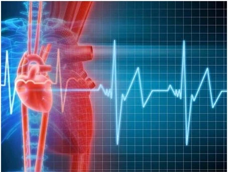7 dấu hiệu tố cáo bạn có nguy cơ bị đau tim 7 dấu hiệu tố cáo bạn có nguy cơ bị đau tim