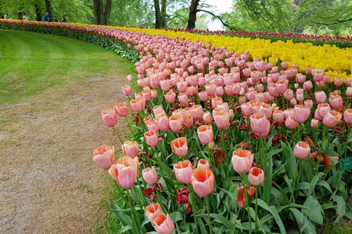 Tận mục nơi được mệnh danh 'Khu vườn của châu Âu'