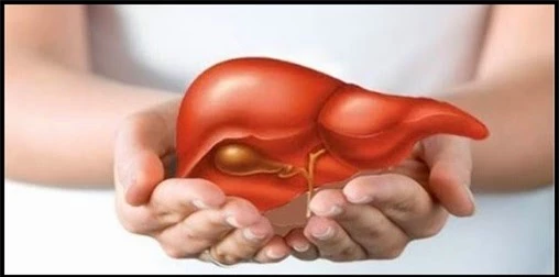 Những thói quen ăn uống hàng ngày gây ung thư Những thói quen ăn uống hàng ngày gây ung thư