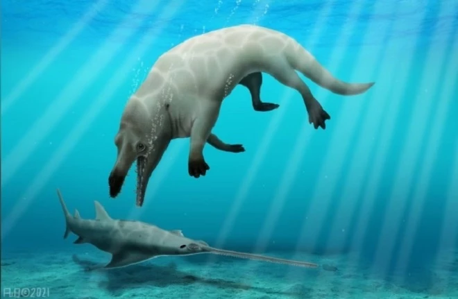 Hình ảnh mô phỏng về con cá voi. (Ảnh: Hesham Sellam)