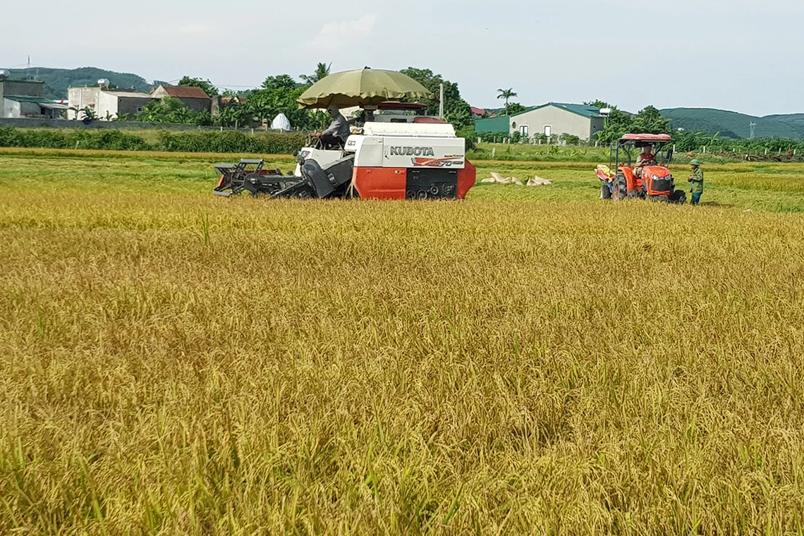 Nông dân Hà Tĩnh phát triển