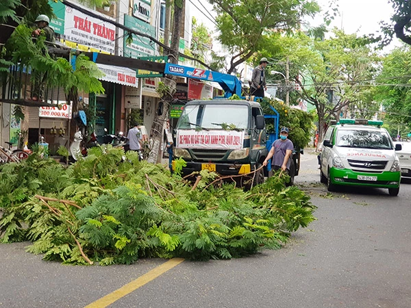 Việc cắt tỉa cây xanh PCLB đang rất cần kíp trong bối cảnh mùa mưa bão năm 2021 đang đến gần và cơn bão số 5 nhiều khả năng ảnh hưởng đến Đà  Nẵng trong một vài ngày tới