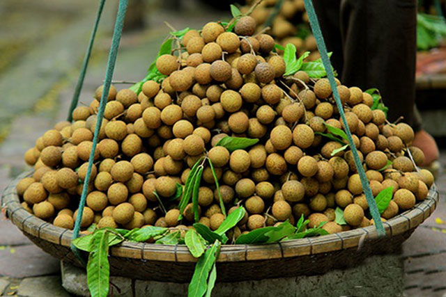 Công dụng chữa bệnh tuyệt vời từ quả nhãn thơm ngon