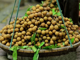 Công dụng chữa bệnh tuyệt vời từ quả nhãn thơm ngon