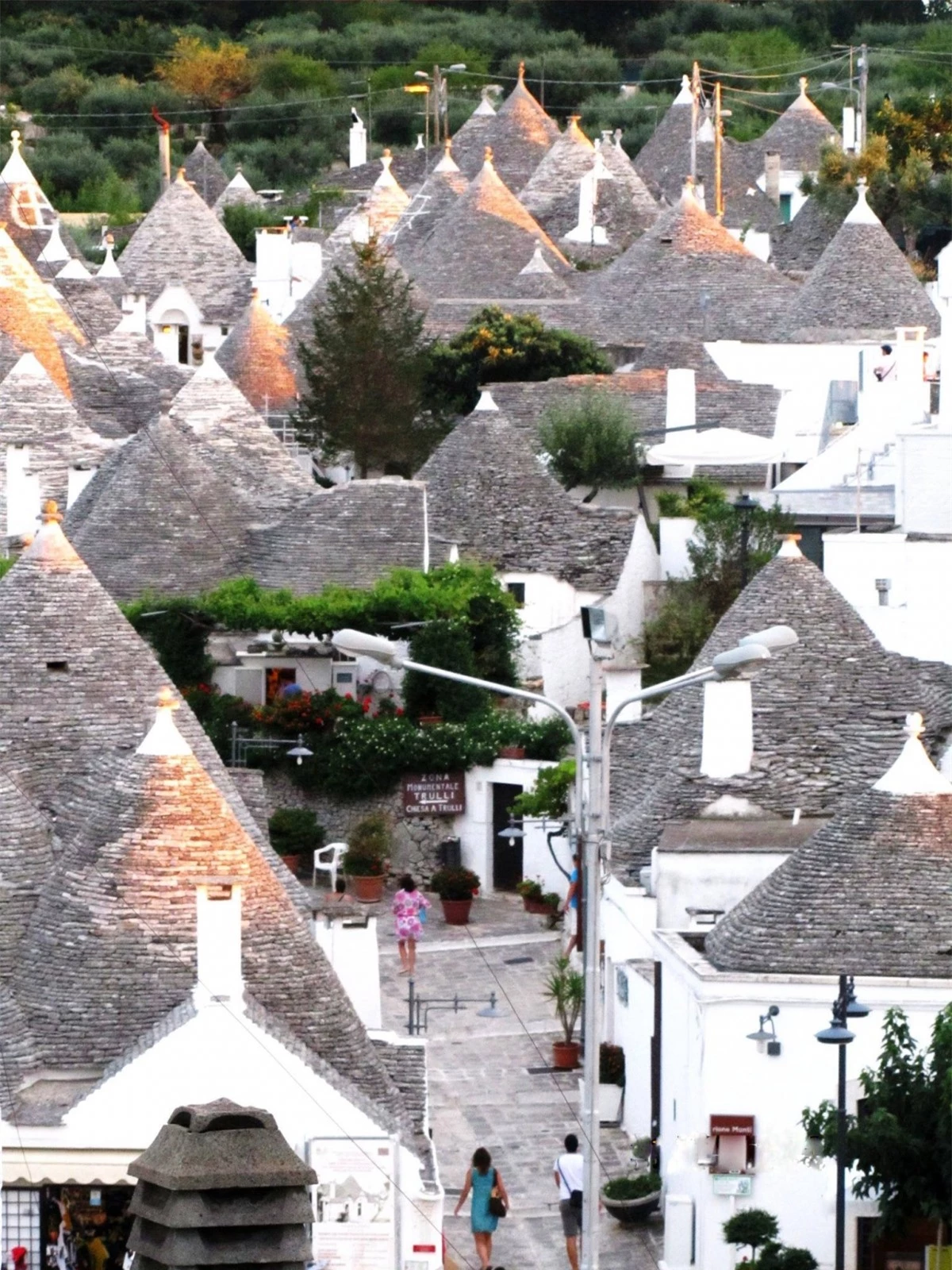 Albero nghĩa là rừng, cây; Bello nghĩa là đẹp. Alberobello nghĩa là rừng cây đẹp, vì xưa kia nơi này được bao phủ bởi rừng sồi cổ. Từ nửa cuối thế kỷ 16, ngôi làng Alberobello thuộc tỉnh Bari là vùng đất phong hầu dưới quyền kiểm soát của gia tộc lãnh chúa phong kiến Acquaviva. Bá tước Conversano của gia tộc này đã đưa những người nông dân đến ngọn đồi phủ đầy cây sồi cổ để khai phá đất cho việc trồng trọt. Sang thế kỷ 17, người kế vị ông là bá tước Giangirolamo II dựng một quán trọ, nhà thờ và bắt đầu quá trình đô thị hoá khu rừng. Nhằm lách luật thuế, bá tước cho phép các tá điền dựng các nhà cư trú khô ráo bằng đá, không trét vôi vữa, để có thể tháo gỡ nhanh khi có thanh tra, vì theo chỉ dụ của nhà vua thì nhà ở cố định phải nộp thuế. Những ngôi nhà đặc biệt này được gọi là Trullo.